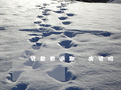 贷款有逾期 房贷吗 贷款有逾期 房贷吗